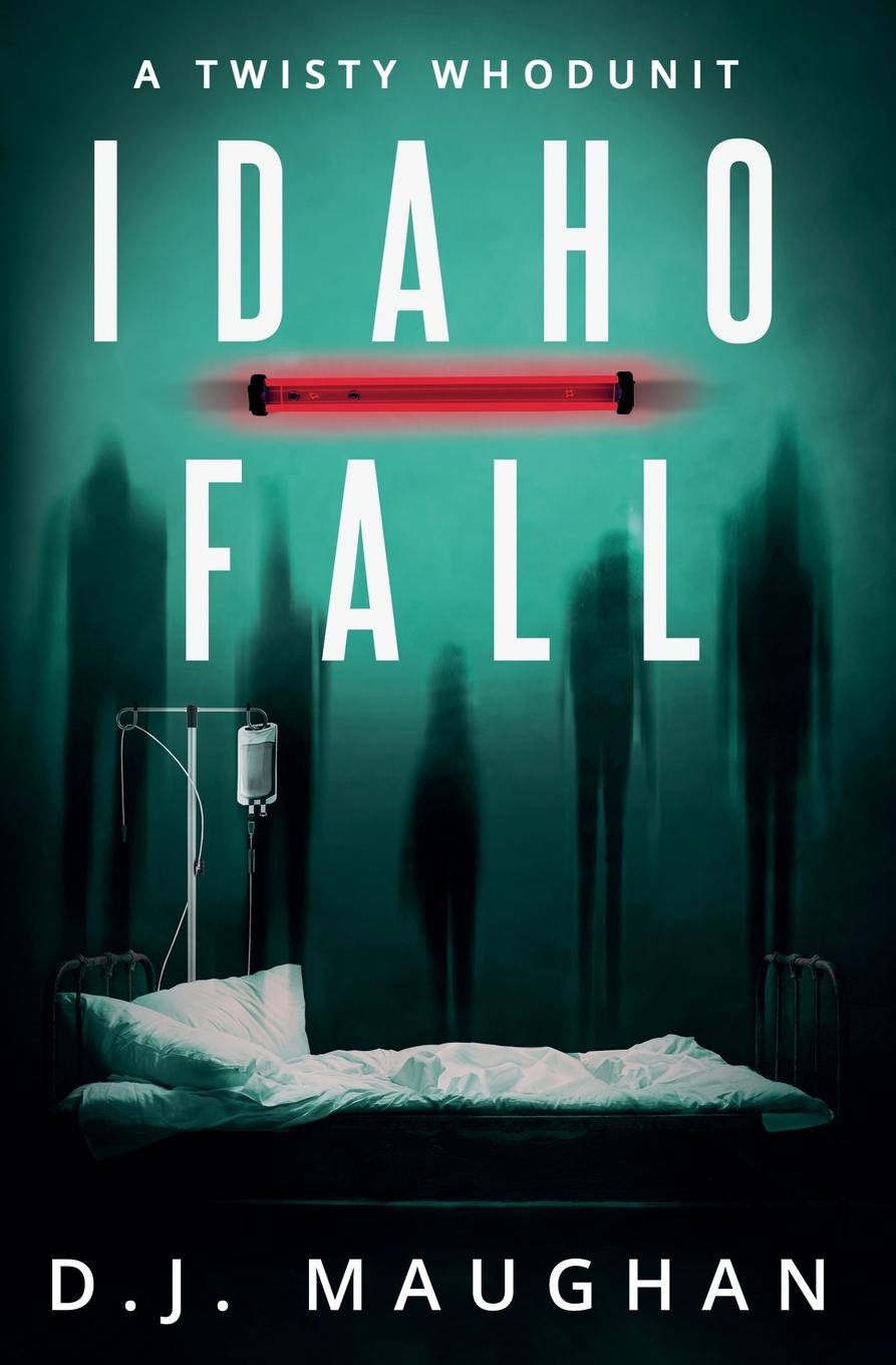 Kniha Idaho Fall D.J. Maughan