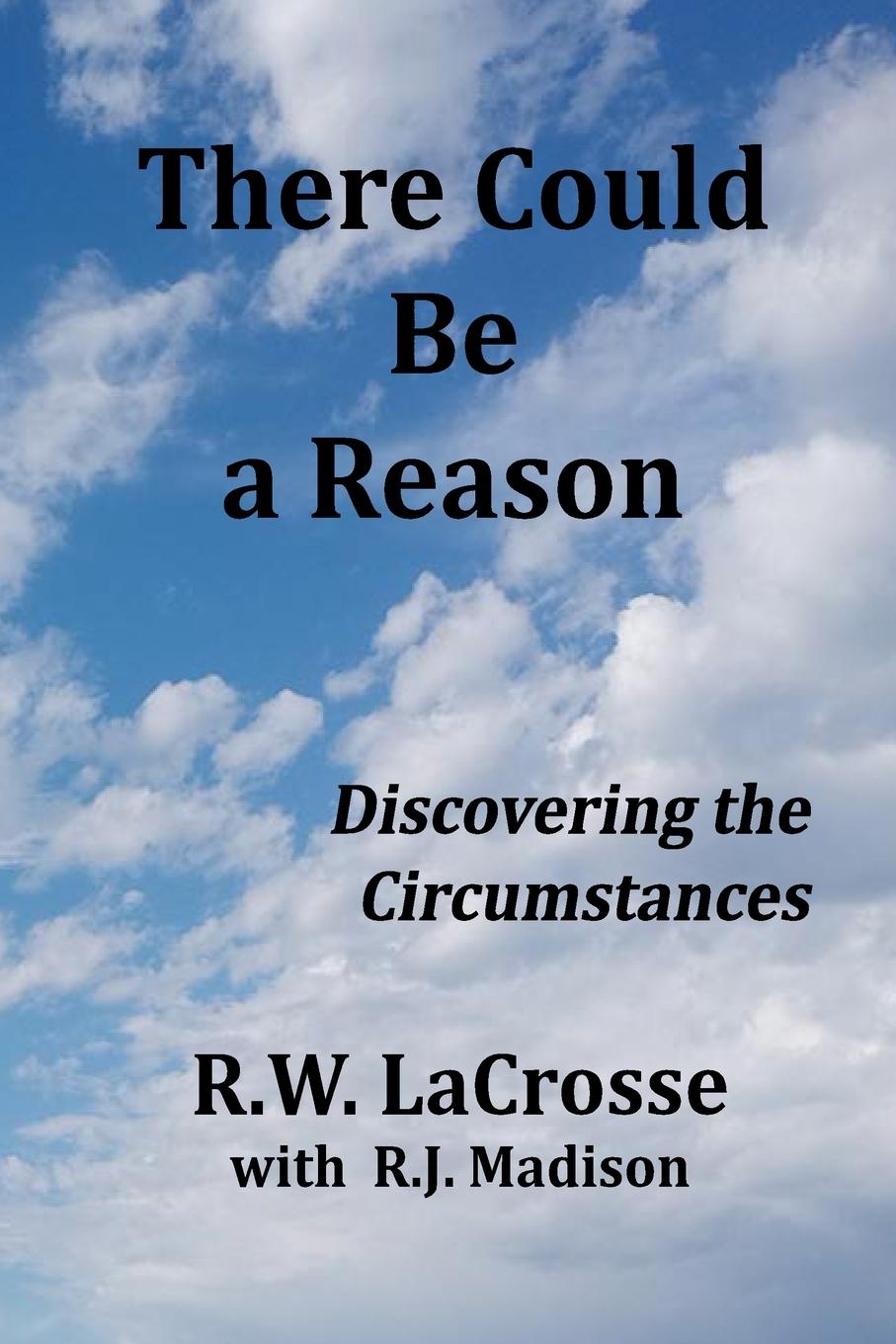 Knjiga There Could Be a Reason R. J. Madison