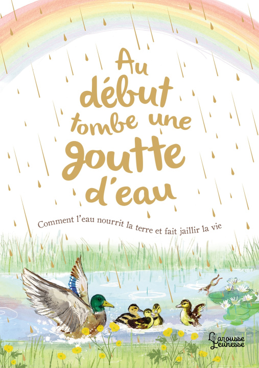 Βιβλίο Au début tombe une goutte d'eau Aimee Gallagher