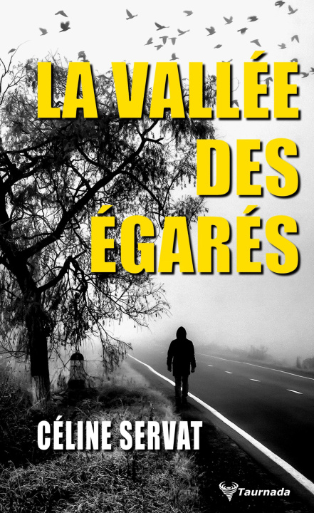Buch La vallée des égarés Servat