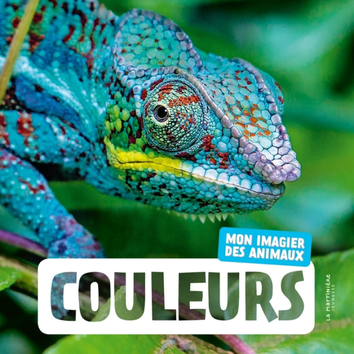 Książka Couleurs NE Naturagency