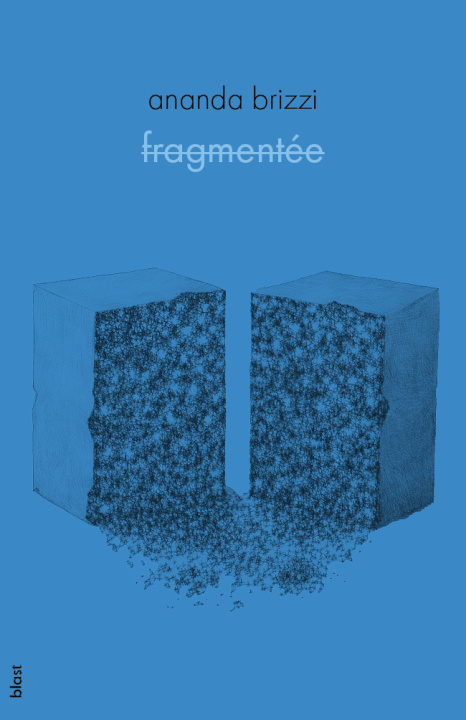 Knjiga fragmentée Brizzi