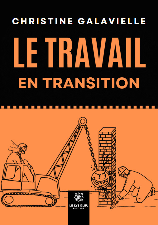 Knjiga Le travail en transition Galavielle