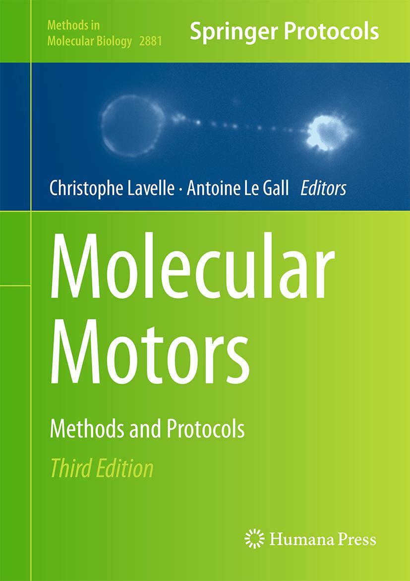 Kniha Molecular Motors Christophe Lavelle