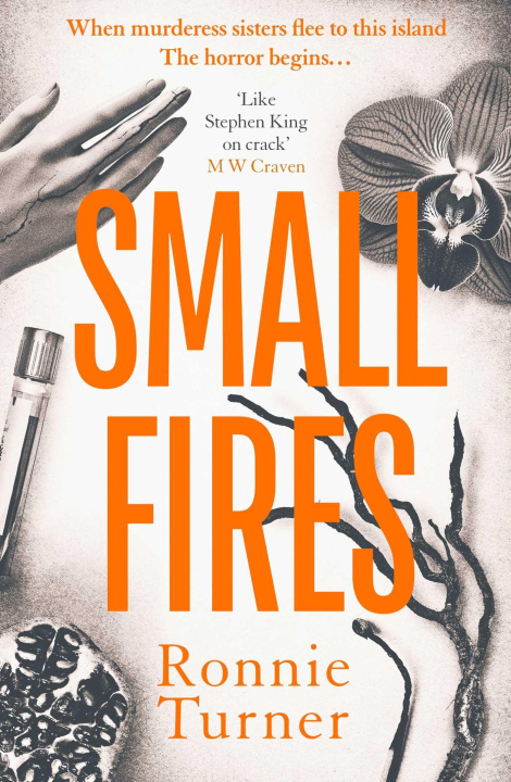 Book Small Fires Ronnie Turner