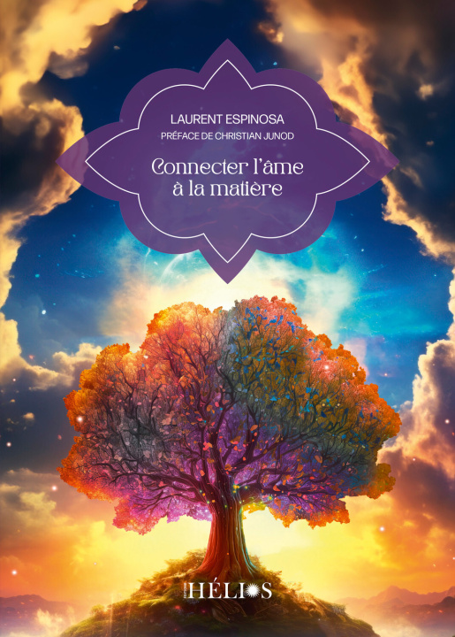 Libro Connecter l'âme à la matière Espinosa