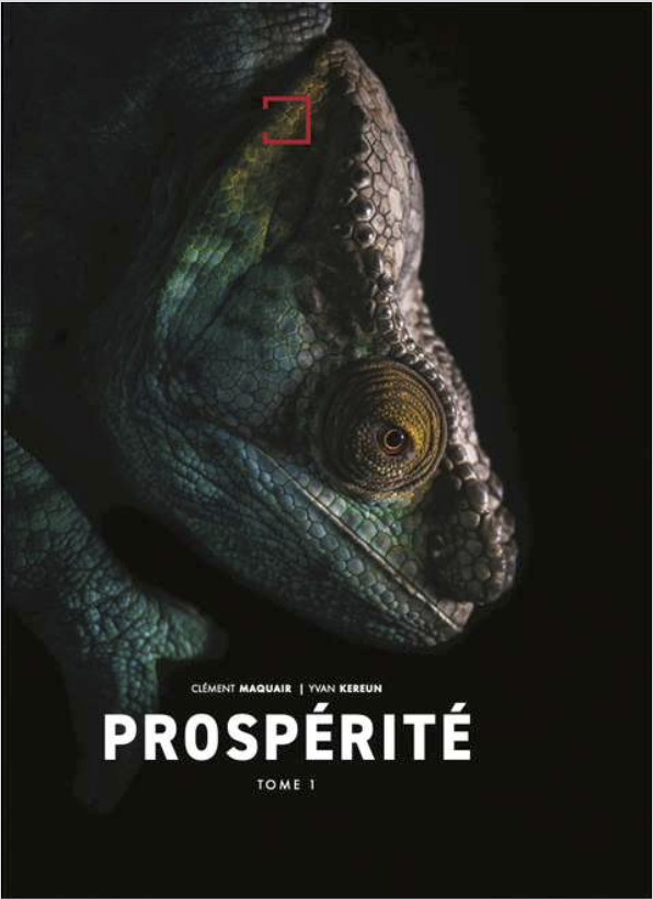 Книга Prospérité Leroyer