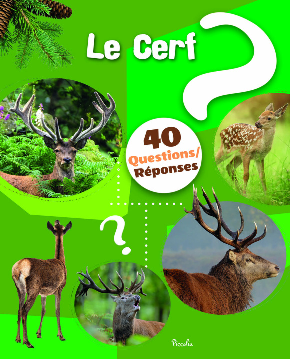 Book Le cerf Baillet