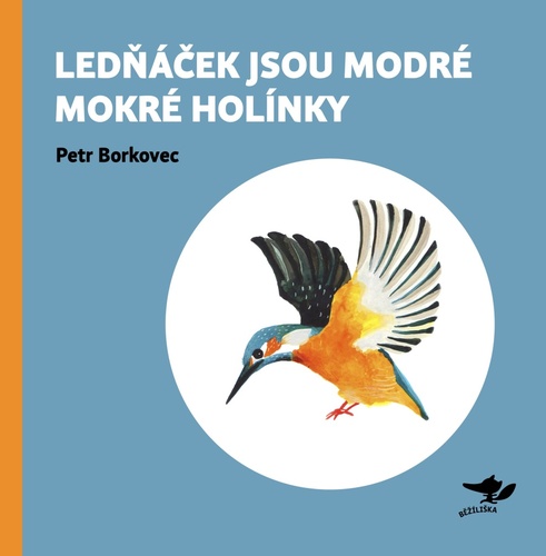 Książka Lednáček jsou modré mokré holínky Petr Borkovec
