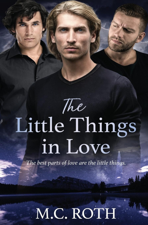 Buch The Little Things in Love M.C. Roth