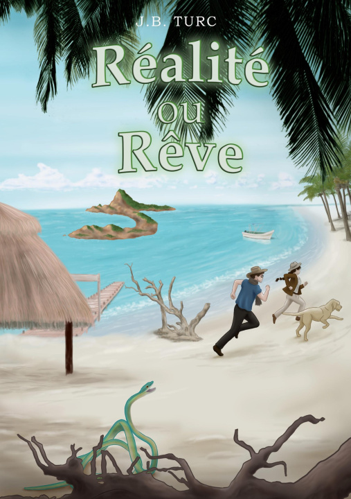 Buch Réalité ou r?ve Turc