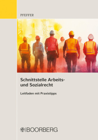 Knjiga Arbeits- und Sozialrecht Julia Pfeffer
