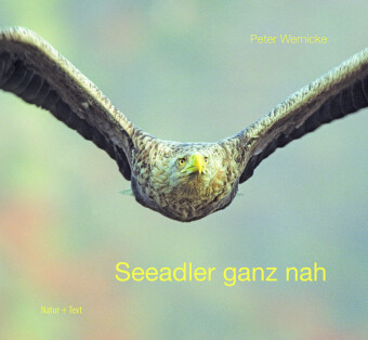 Buch Seeadler ganz nah Peter Wernicke