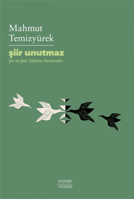 Knjiga Siir Unutmaz 