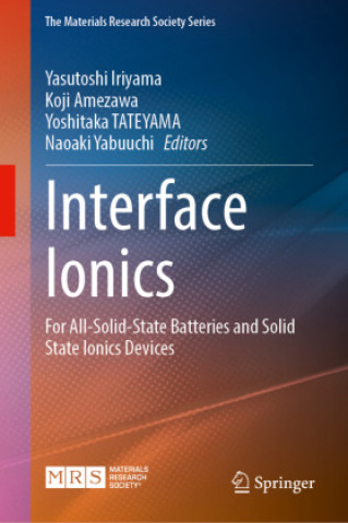 Knjiga Interface Ionics Yasutoshi Iriyama