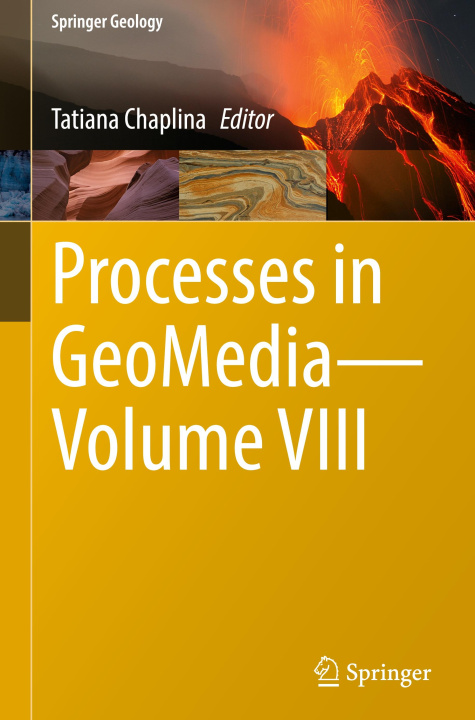 Buch Processes in GeoMedia-Volume VIII Tatiana Chaplina
