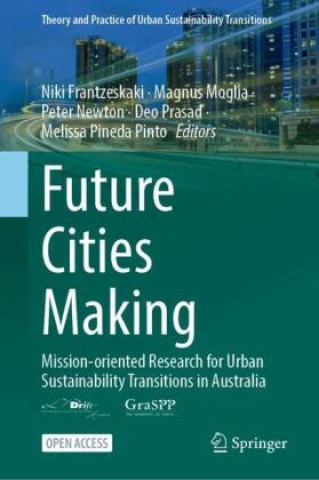 Book Future Cities Making Niki Frantzeskaki
