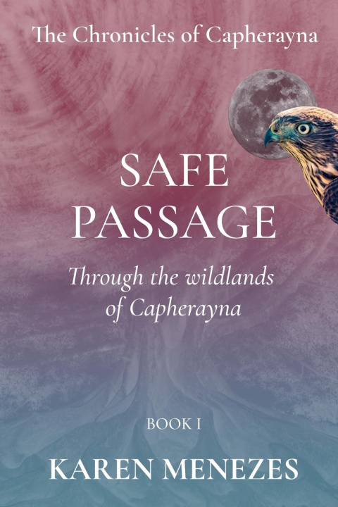 Kniha Safe Passage Karen Menezes