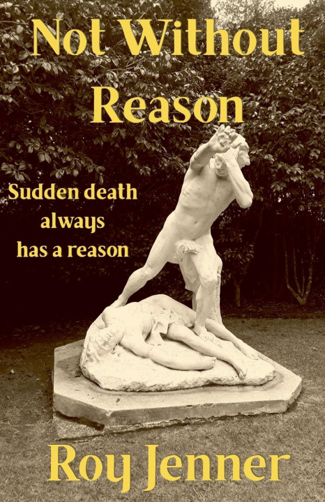 Kniha Not Without Reason Roy Jenner