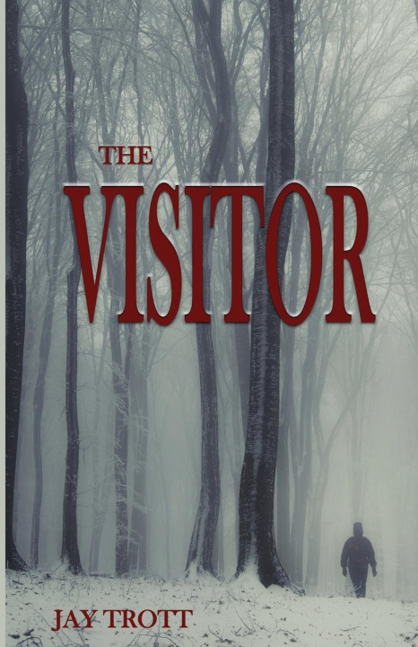 Boek The Visitor Jay A Trott