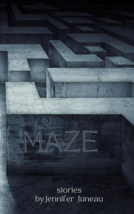 Buch Maze Michele McDannold
