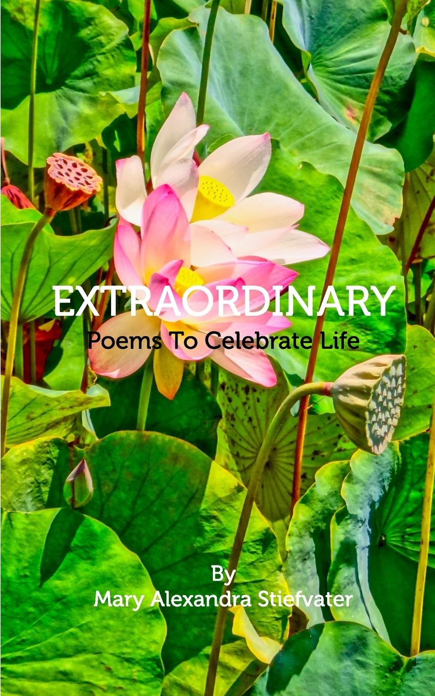 Knjiga Extraordinary Mary Alexandra Stiefvater