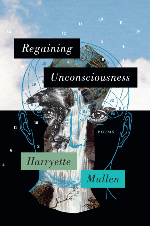 Книга REGAINING UNCONSCIOUSNESS MULLEN HARRYETTE