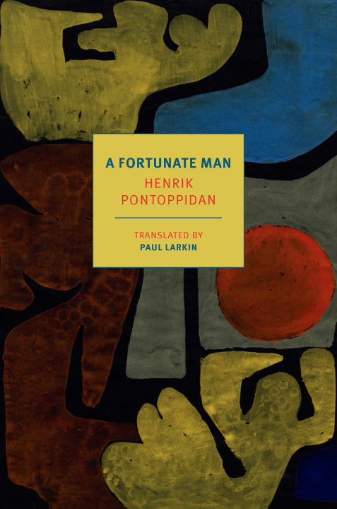 Book FORTUNATE MAN PONTOPPIDAN HENRIK