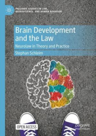 Book Brain Development and the Law Stephan Schleim