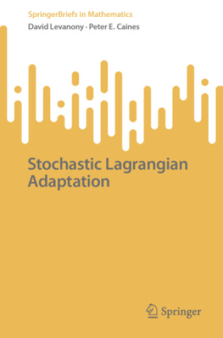 Libro Stochastic Lagrangian Adaptation David Levanony