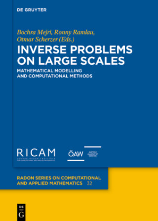 Boek Inverse Problems on Large Scales Bochra Mejri
