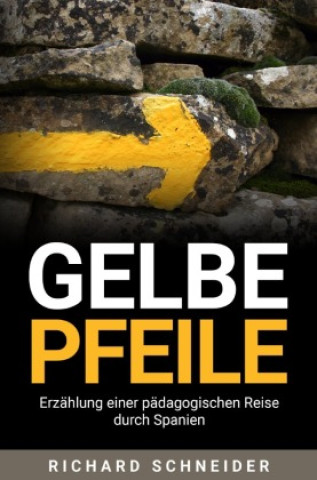 Book Gelbe Pfeile Richard Schneider