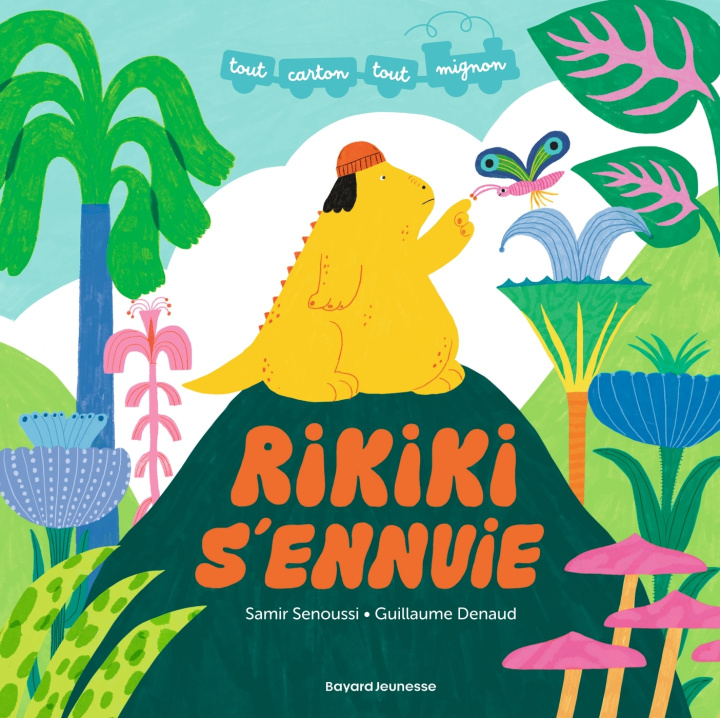 Knjiga Rikiki s'ennuie Samir Senoussi