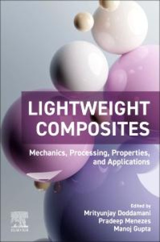 Könyv Lightweight Composites Mrityunjay Doddamani