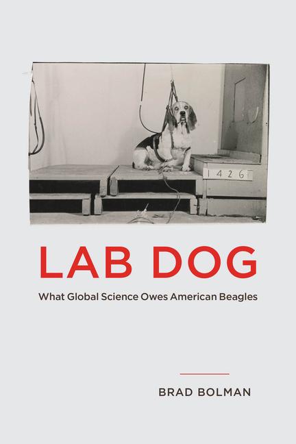 Knjiga Lab Dog Brad Bolman