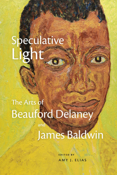 Libro Speculative Light Amy J. Elias