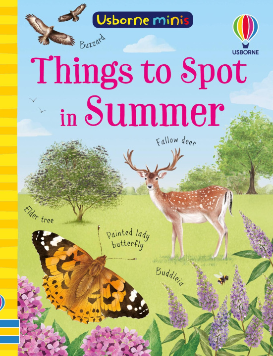 Knjiga Things to Spot in Summer Lara Bryan