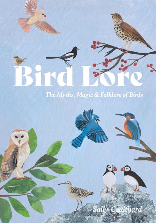 Knjiga Bird Lore COULTHARD SALLY