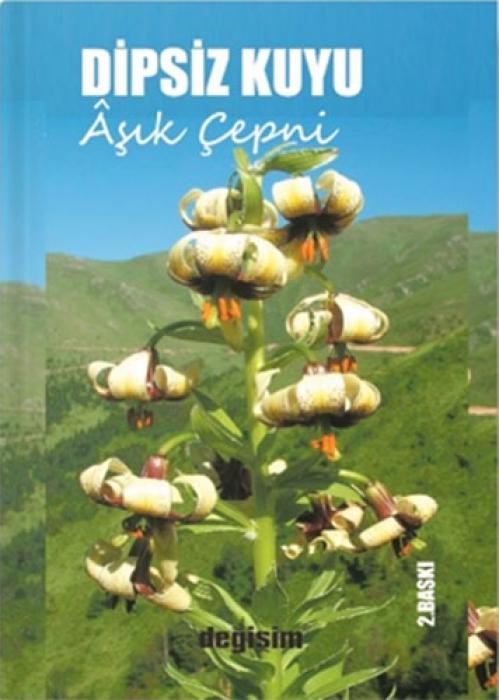 Книга Dipsiz Kuyu 