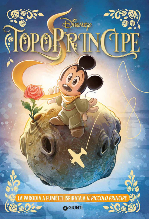 Buch Topoprincipe 