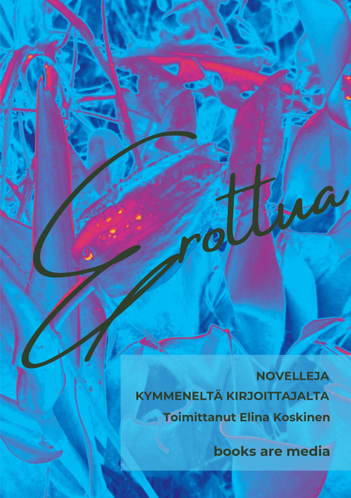 Kniha Erottua Jan Bergman