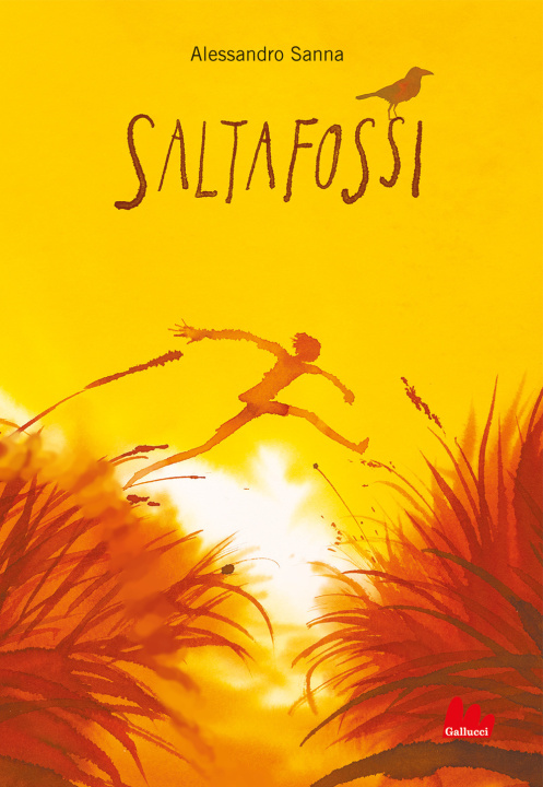 Knjiga Saltafossi Alessandro Sanna