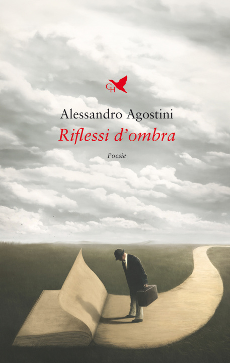 Buch Riflessi d'ombra Alessandro Agostini