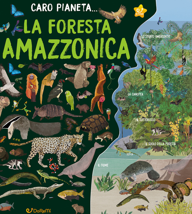 Knjiga Foresta Amazzonica Alex Woolf