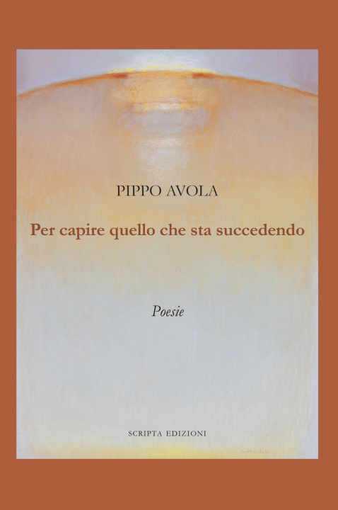 Книга Per capire quello che sta succedendo Pippo Avola