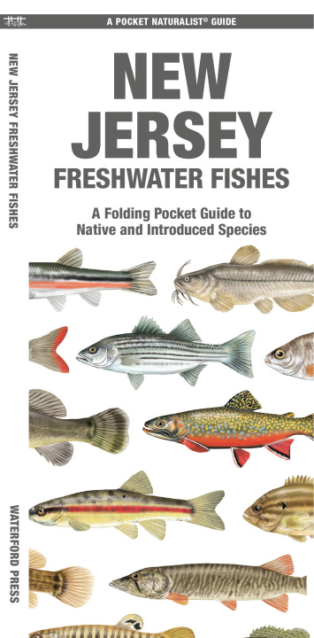 Knjiga NEW JERSEY FRESHWATER FISHES MORRIS MATTHEW