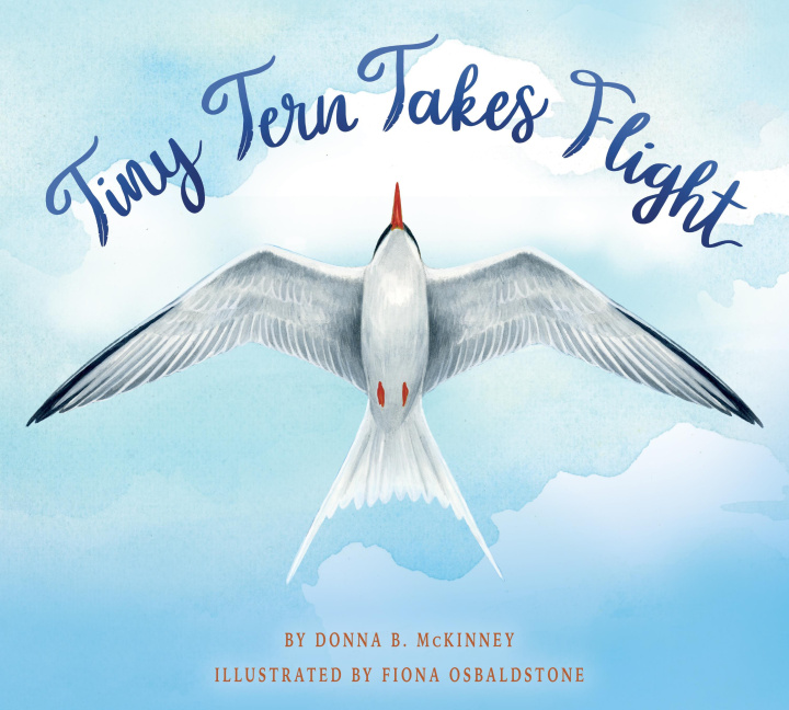 Book TINY TERN TAKES FLIGHT OSBALDSTONE FIONA