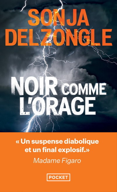 Book Noir comme l'orage Sonja Delzongle