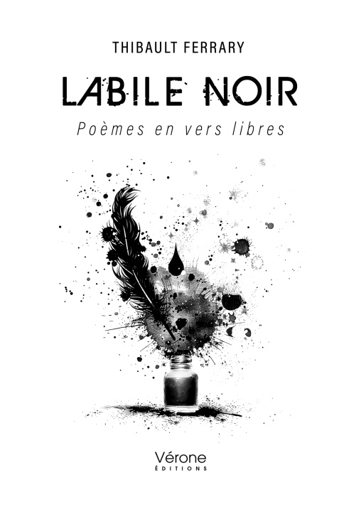 Knjiga Labile noir Thibault FERRARY