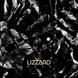 Audio Mesh Lizzard